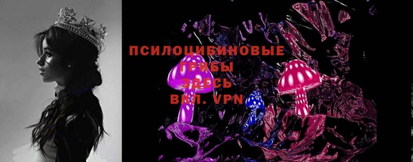 ПСИЛОЦИБИНОВЫЕ ГРИБЫ Баксан