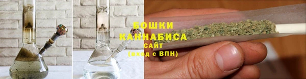 ГАЛЛЮЦИНОГЕННЫЕ ГРИБЫ Богородск
