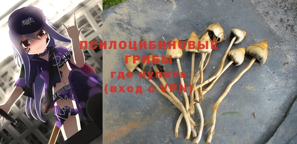 герыч Богородицк