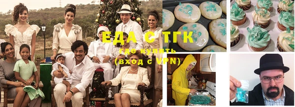 ECSTASY Бородино