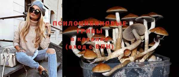 Альфа ПВП Бугульма